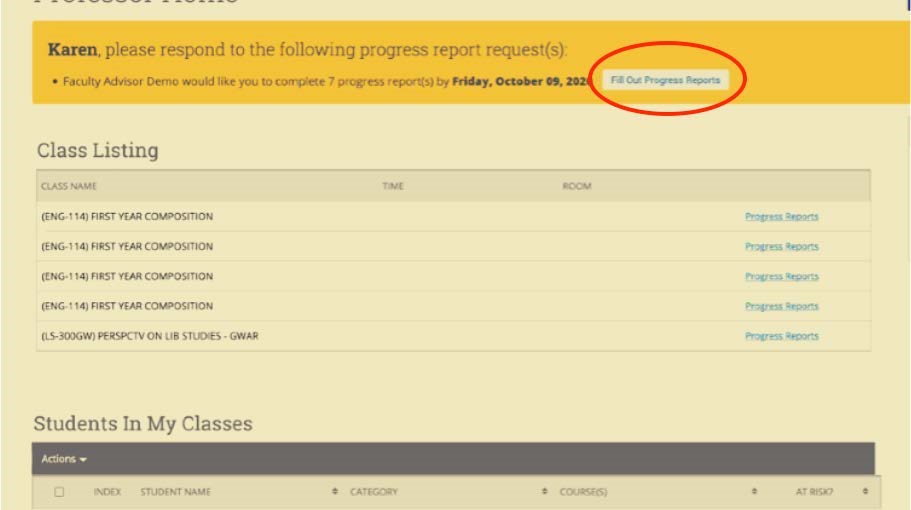 Progress Reports