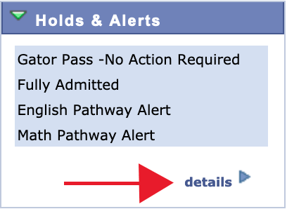Details in Holds and Alerts box